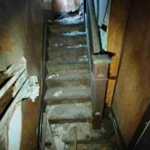 8031 conger (27).jpg